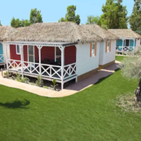Devesa Gardens Camping & Resort Valencia Exterior photo